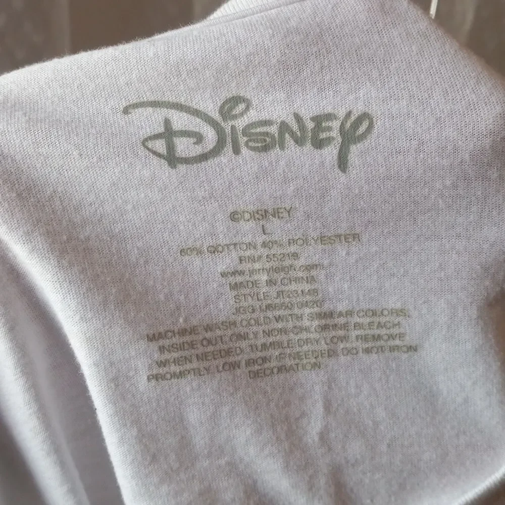 Disney usa mickey